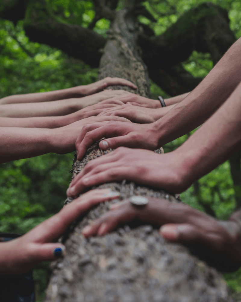 shiftup collective members placing their hands on a tree as demonstration of their dedication to consciously serve planet earth